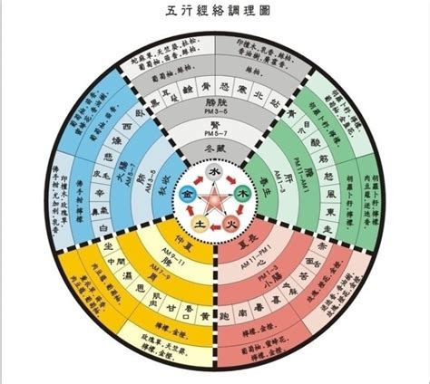 五術命理|山、醫、命、相、卜：這傳統五術說的到底是啥？